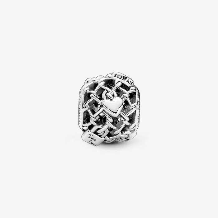 1 Bracelet2 Charms 99 Women Pandora Openwork Chain Link Padlock Charm