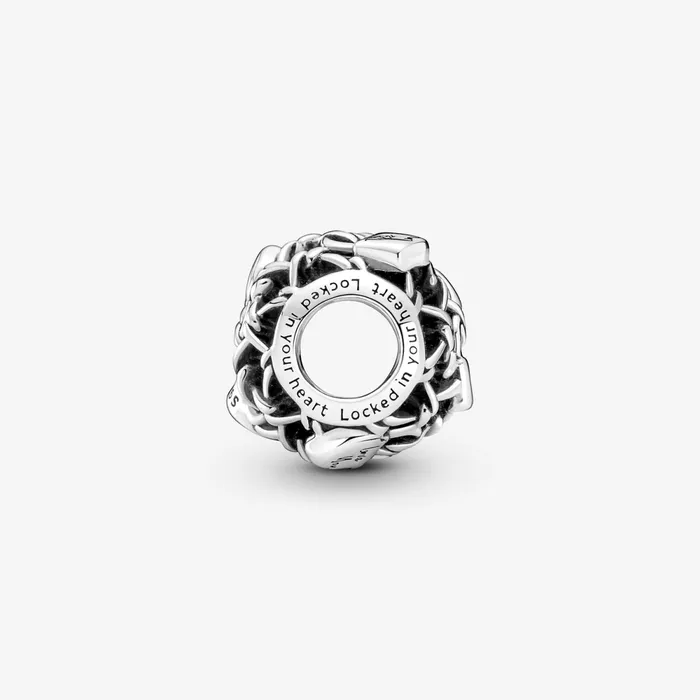1 Bracelet2 Charms 99 Women Pandora Openwork Chain Link Padlock Charm
