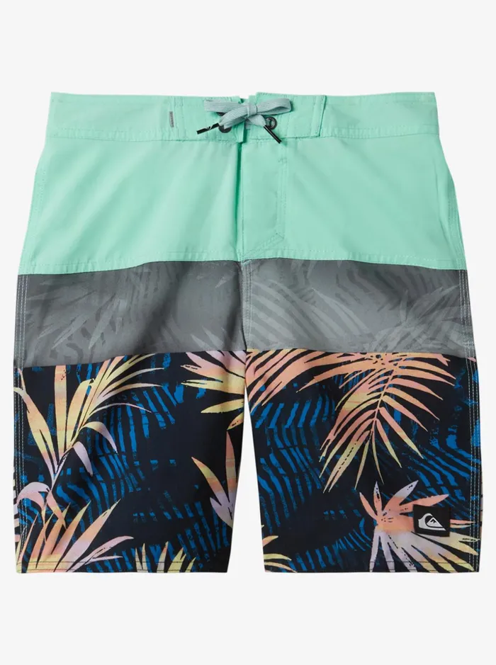 Boys Quiksilver Boardshorts Boy039s 816 Everyday Panel 17034 Boardshorts Beach Glass
