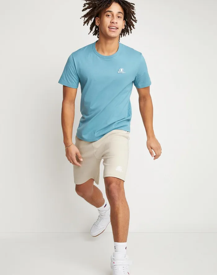 Classic Fleece Shorts C Over Script Logo 8034 Pebblestone Men Champion Shorts