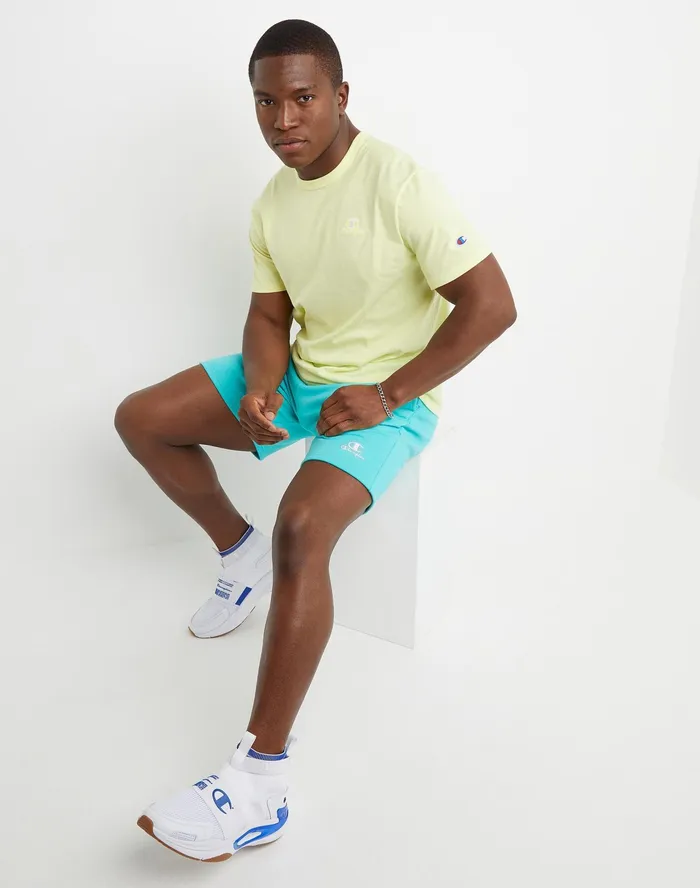 Classic Fleece Shorts C Over Script Logo 8034 Portal Teal Men Champion Shorts