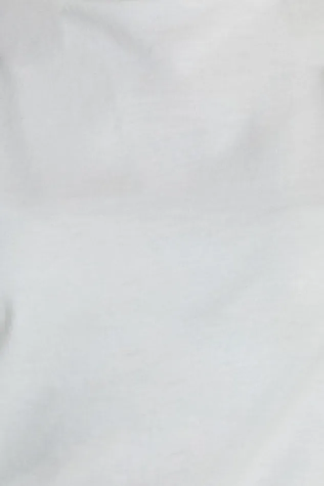 Gia Tee 8211 High Neck Tshirt In White Women Showpo Basics