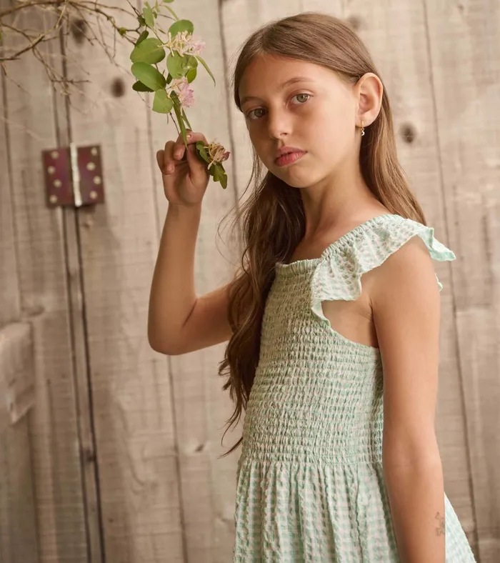 Hatley Girls Gingham Seersucker Smocked Dress Girls Dresses