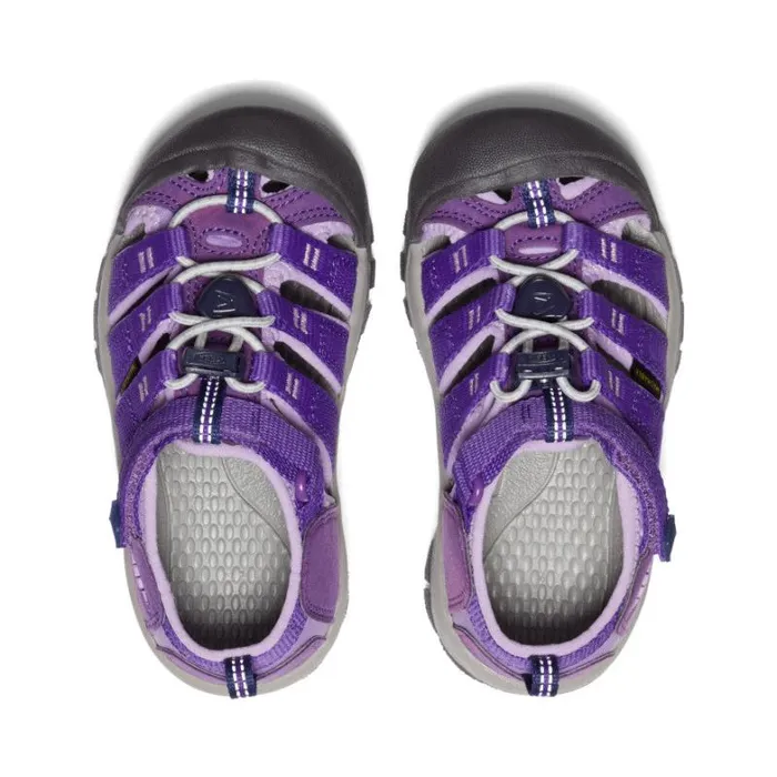 Kids KEEN Playground Little Kids039 Purple Water Hiking Sandals 8211 Newport H2 Kids KEEN Playground Little Kids039 Purple Water Hiking Sandals 8211 Newport H2