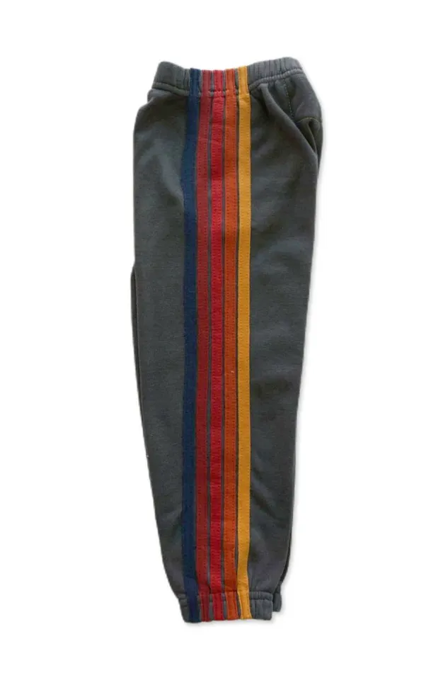 Kids KID039S 5 STRIPE SWEATPANTS 8211 DARK GRAY RAINBOW Aviator Nation