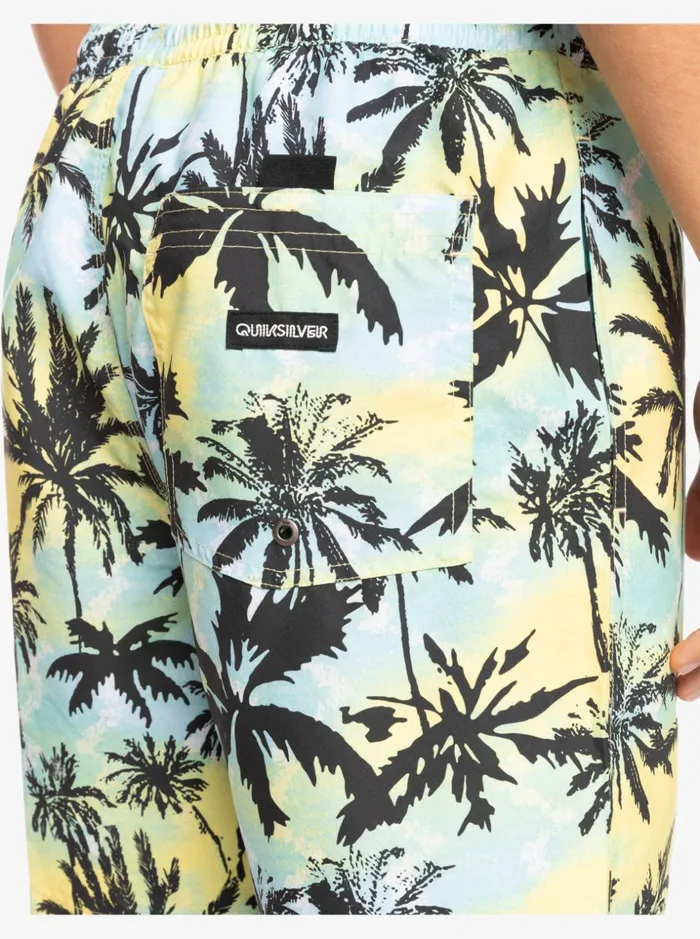 Men Quiksilver Boardshorts Everyday Mix 17034 Volleys Buttercup Men Quiksilver Boardshorts Everyday Mix 17034 Volleys Buttercup