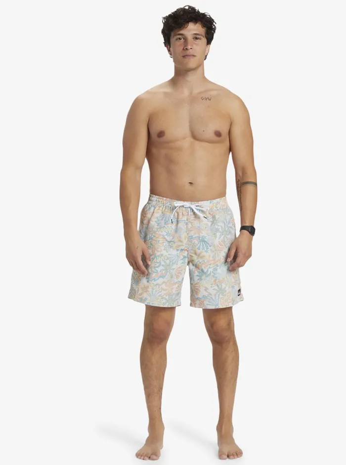 Men Quiksilver Boardshorts ReMix 17034 Volleys Birch Men Quiksilver Boardshorts ReMix 17034 Volleys Birch