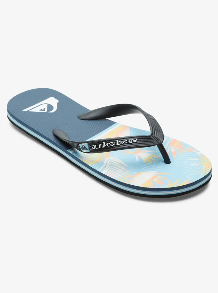 Men Quiksilver Sandals Molokai Division Flip Flops Blue 1