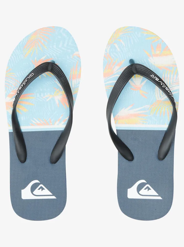 Men Quiksilver Sandals Molokai Division Flip Flops Blue 1 Men Quiksilver Sandals Molokai Division Flip Flops Blue 1