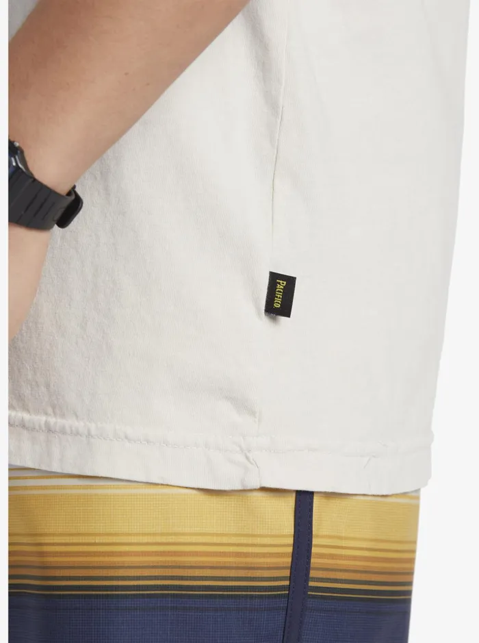 Men Quiksilver Tees Quiksilver X Pacifico Scenic Vibes TShirt Stone