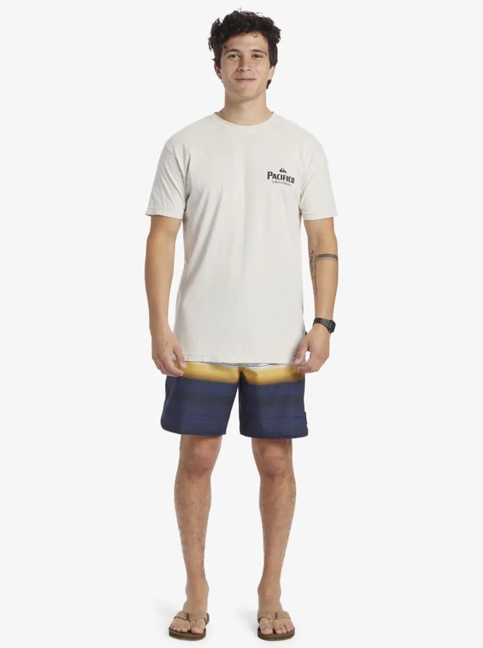 Men Quiksilver Tees Quiksilver X Pacifico Scenic Vibes TShirt Stone