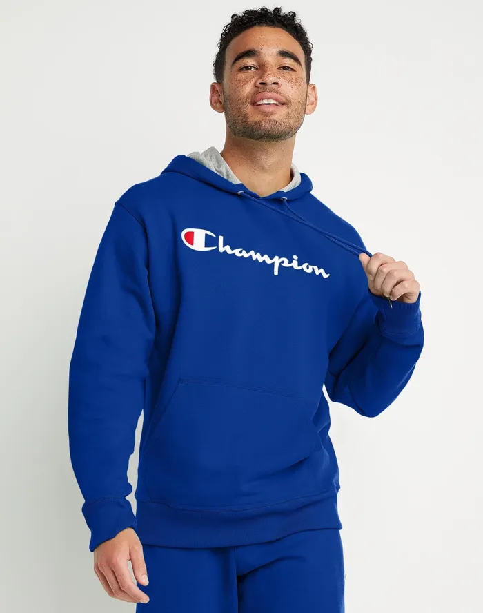 Powerblend Hoodie Classic Script Logo Surf The Web Men Champion Hoodies and Sweatshirts