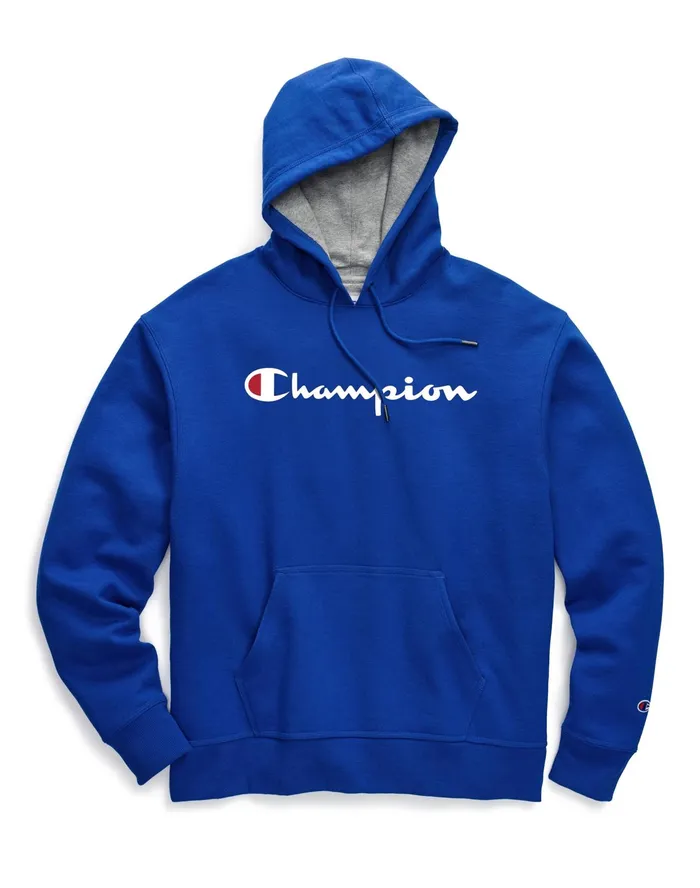 Powerblend Hoodie Classic Script Logo Surf The Web Men Champion Hoodies and Sweatshirts