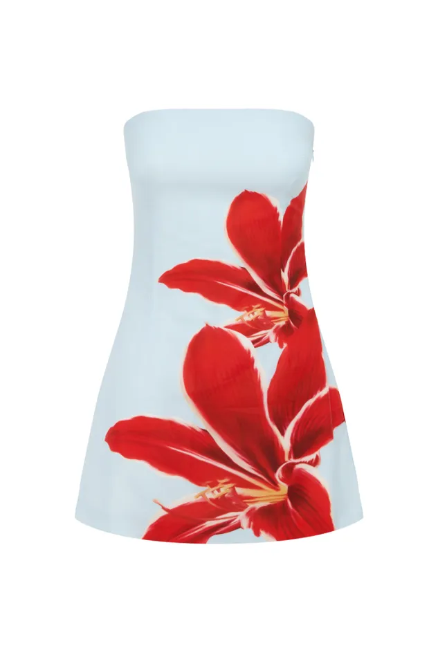 Runaway The Label Mini Dresses PRIMROSE MINI DRESS Red Lily 8211 Women