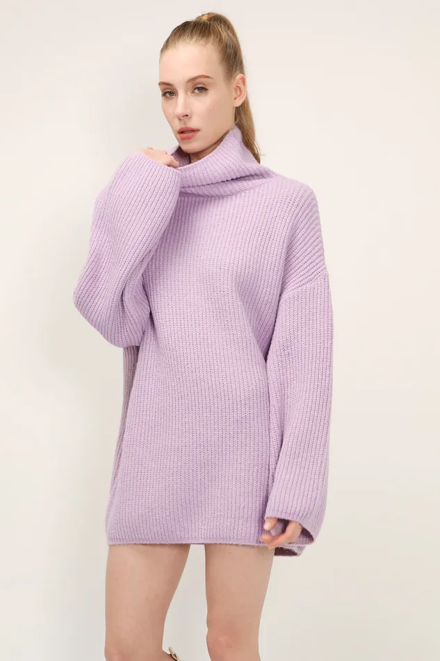 Storets Kinsley Turtle Neck Knit Dress Women Sweaters and Knitwears