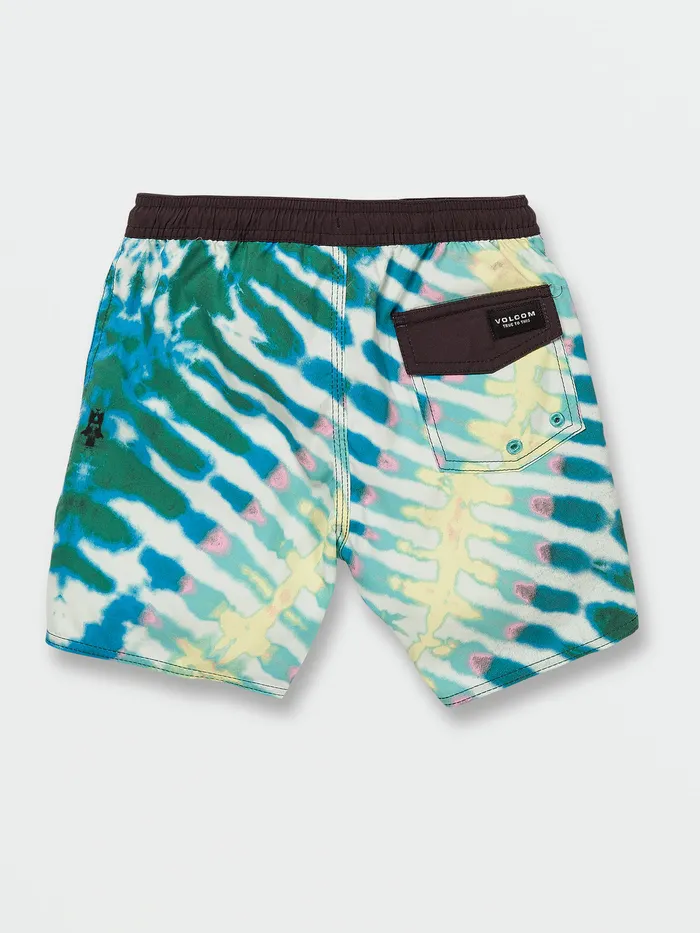 Volcom Boardshorts and Trunks Little Boys Beach Bunch Trunks 8211 Multi Multi 8211 Boys