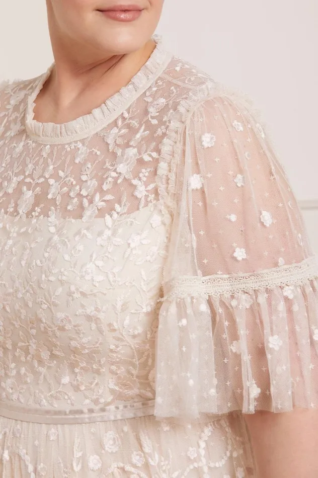 Women Embroidered Dresses Needle and Thread Midsummer Lace Round Neck Gown Champagne