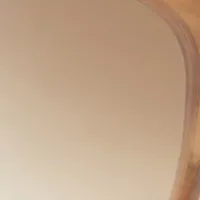 Women Eyewear Victoria Beckham Classic Flat Top V Sunglasses In Honey Horn