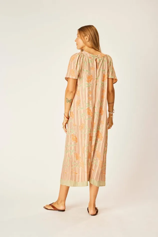Women Natalie Martin Dresses Sienna Dress Chamomile Apricot