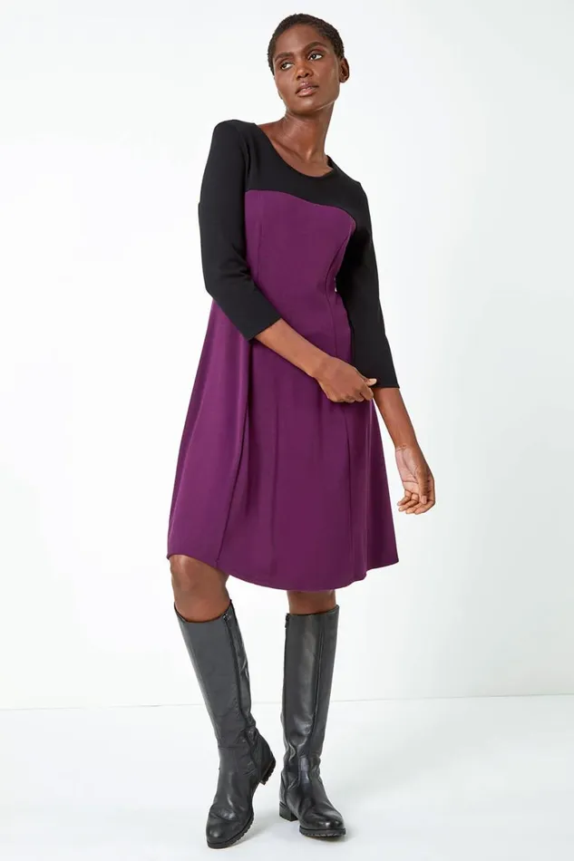 Women Purple Colour Block Skater Stretch Dress Roman Dresses