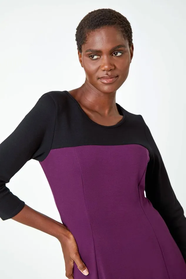 Women Purple Colour Block Skater Stretch Dress Roman Dresses