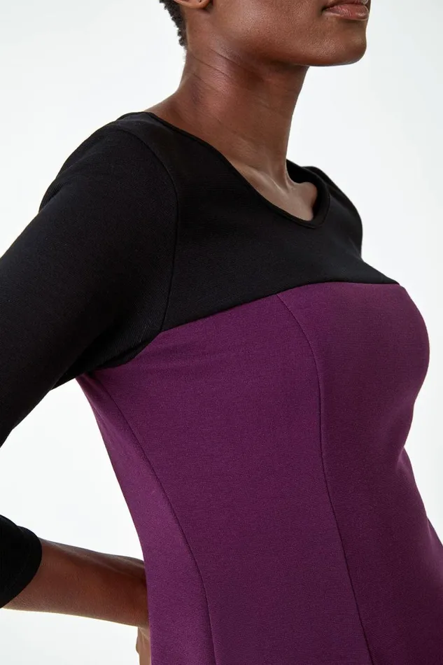 Women Purple Colour Block Skater Stretch Dress Roman Dresses