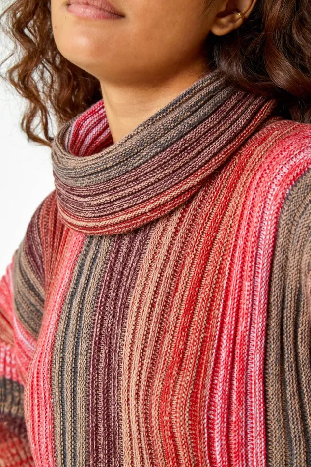 Women Rust Textured Roll Neck Ombre Knitted Jumper Roman Knitwear